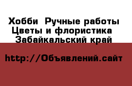 Хобби. Ручные работы Цветы и флористика. Забайкальский край